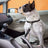 Dog buckled up in the back seat