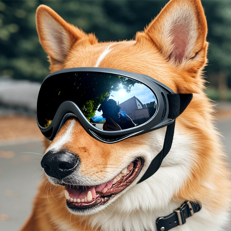 Dog wearing goggles