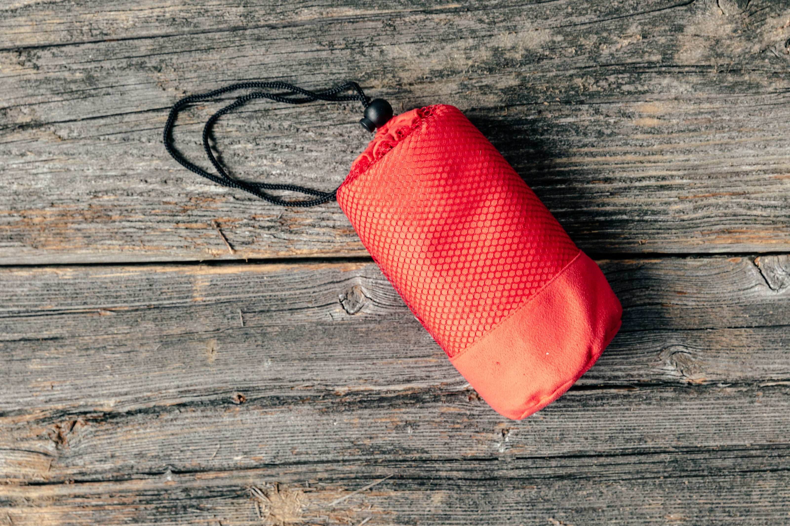 Dog accessories