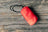 Dog accessories