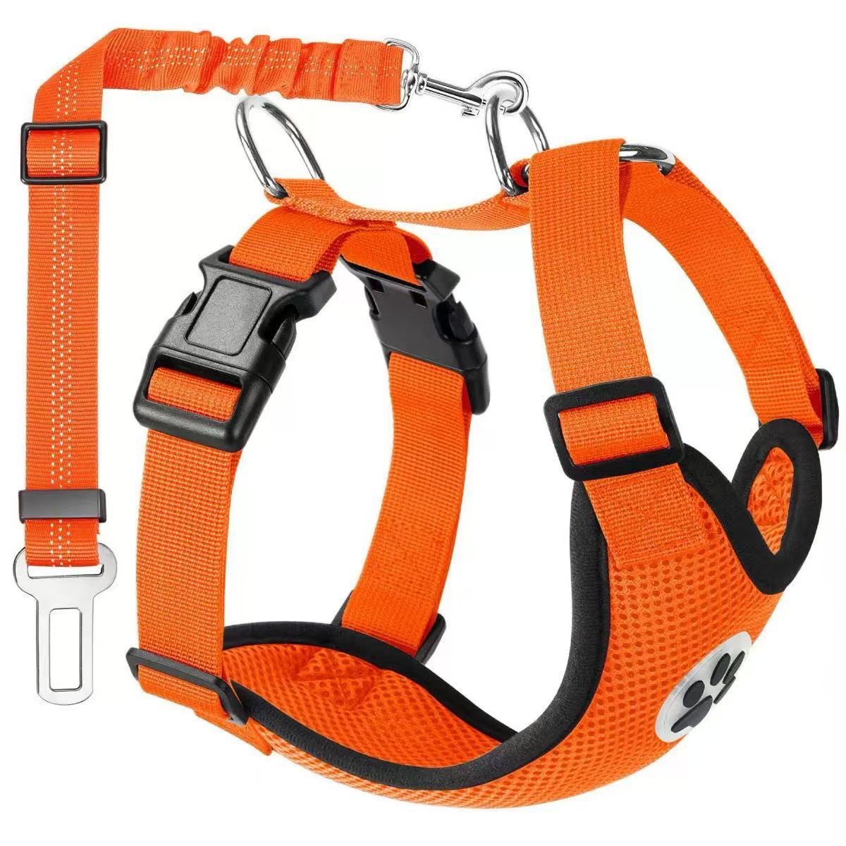 Harness with seat belt tether attached