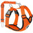 Harness with seat belt tether attached