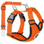 Harness with seat belt tether attached