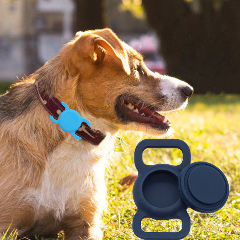 Dog wearing AirTag holder on collar
