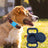 Dog wearing AirTag holder on collar