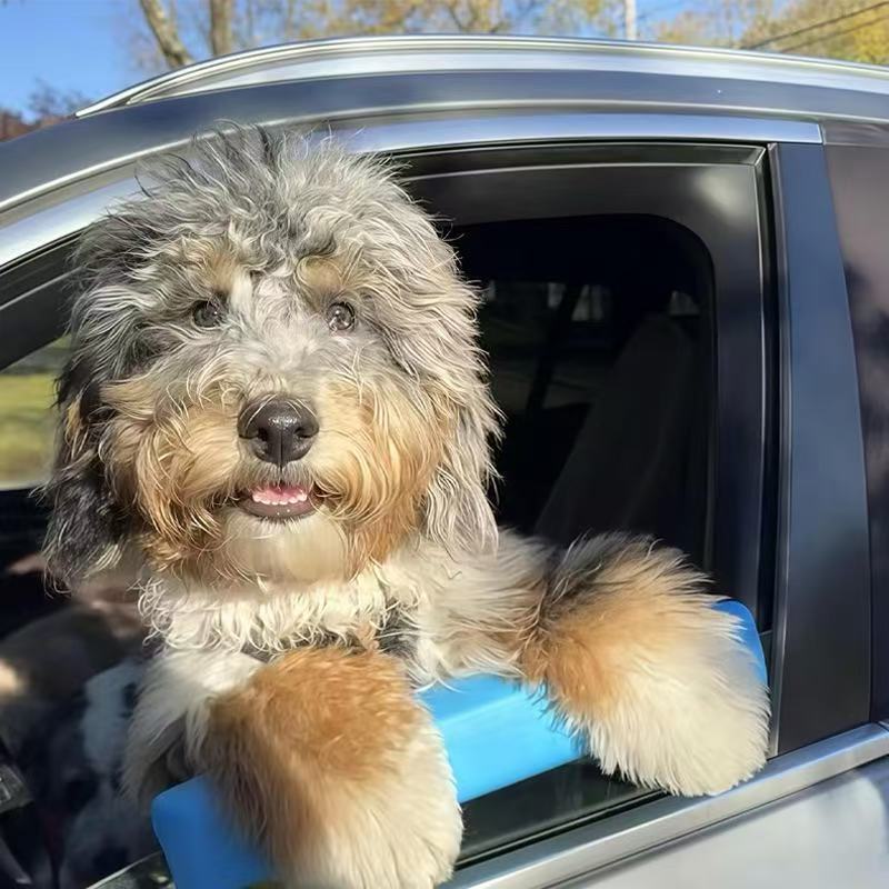 Car Window Cushion Rest for Dogs