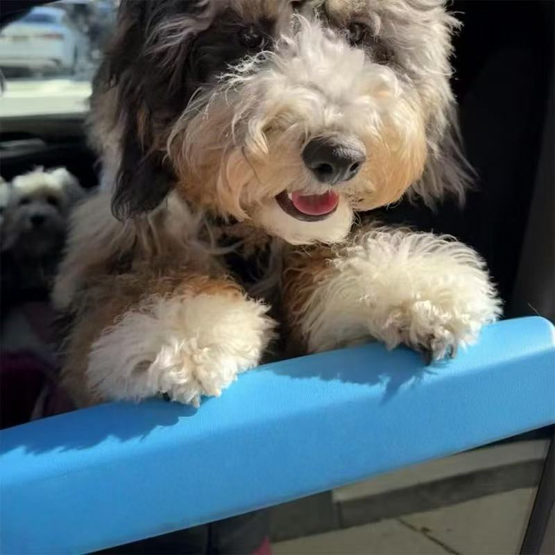 Car Window Cushion Rest for Dogs