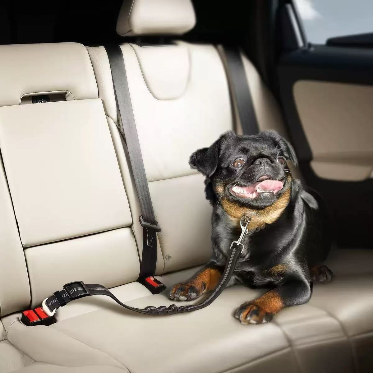 2-in-1 Bungee Leash & Car Seat Belt