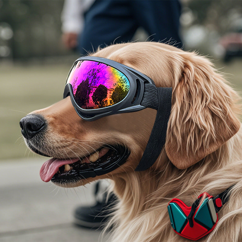 Goggles
