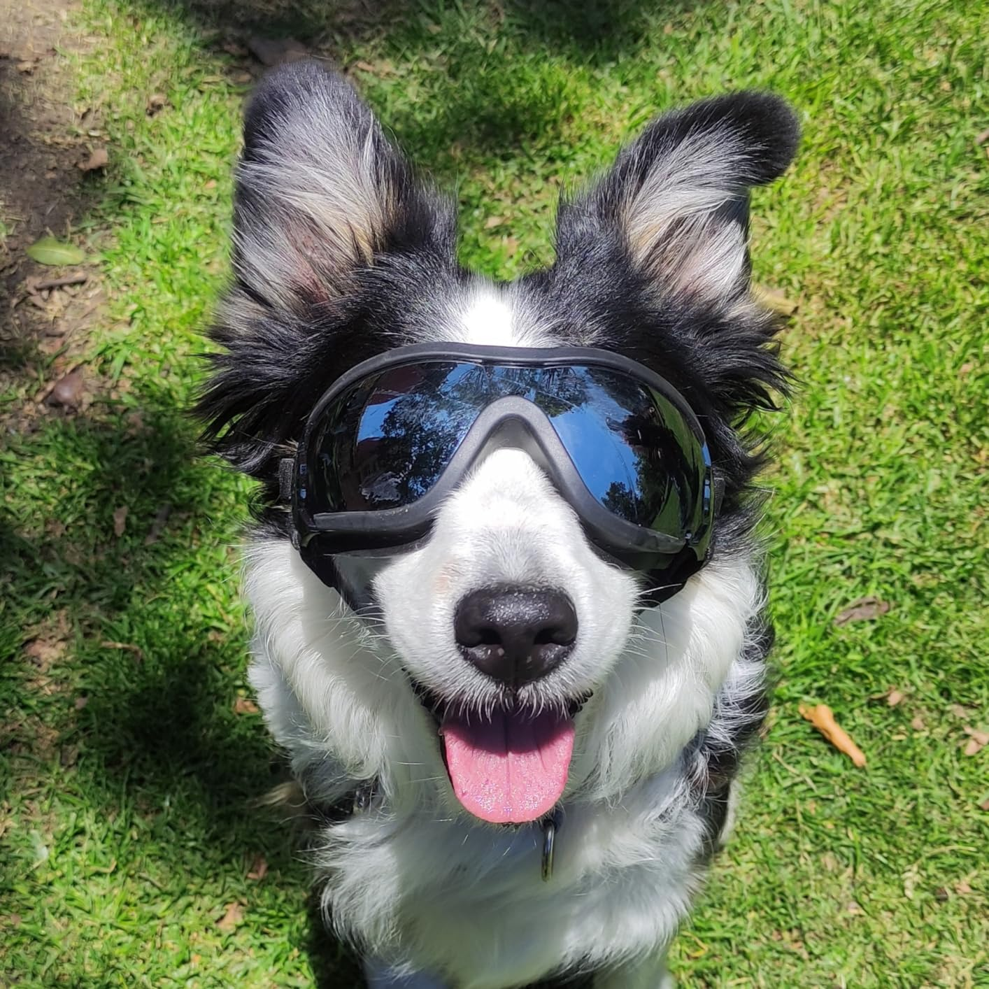 Goggles