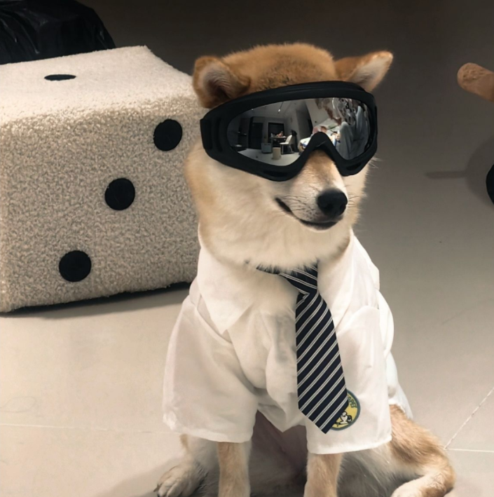 Goggles