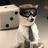 Goggles