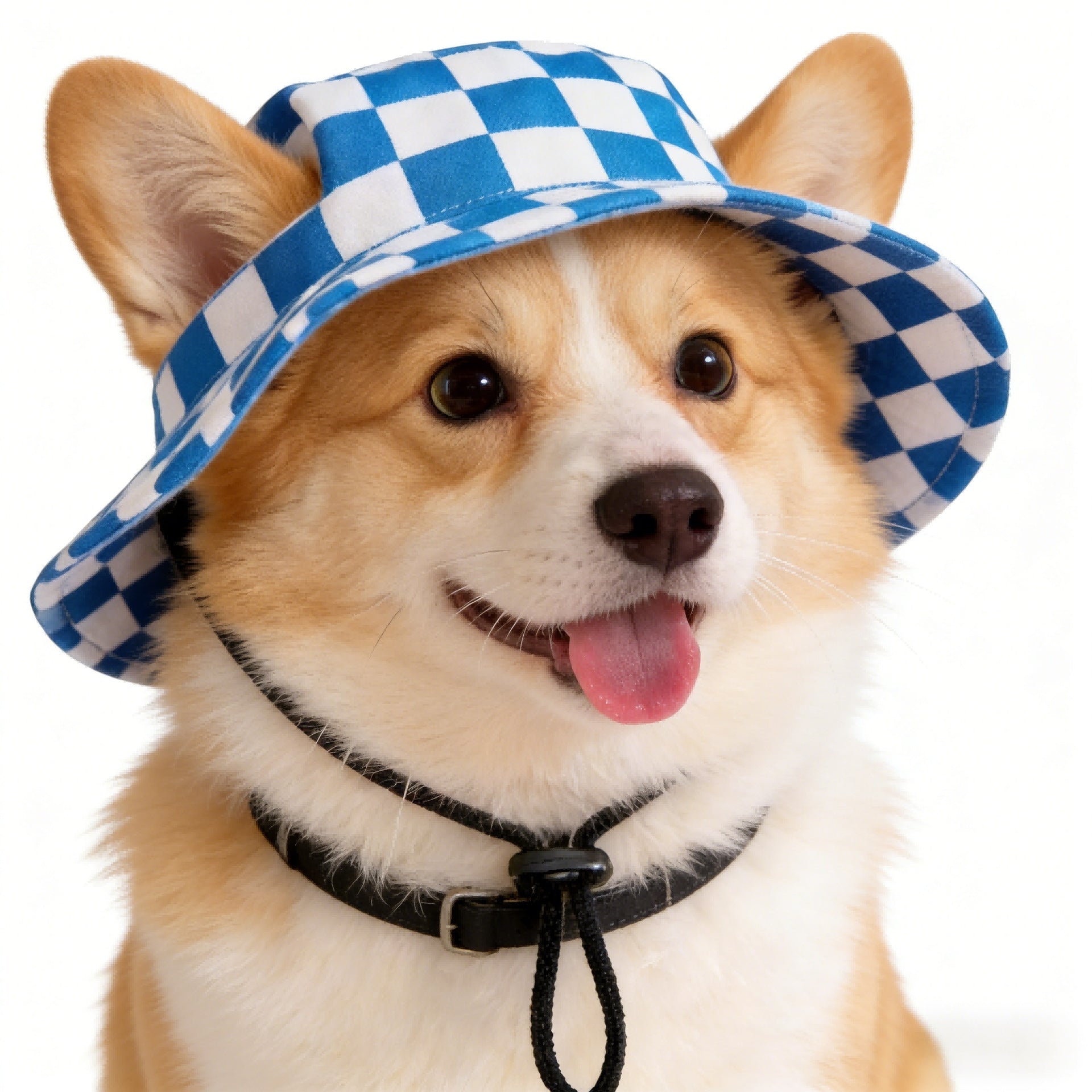 K9 Bucket Hat