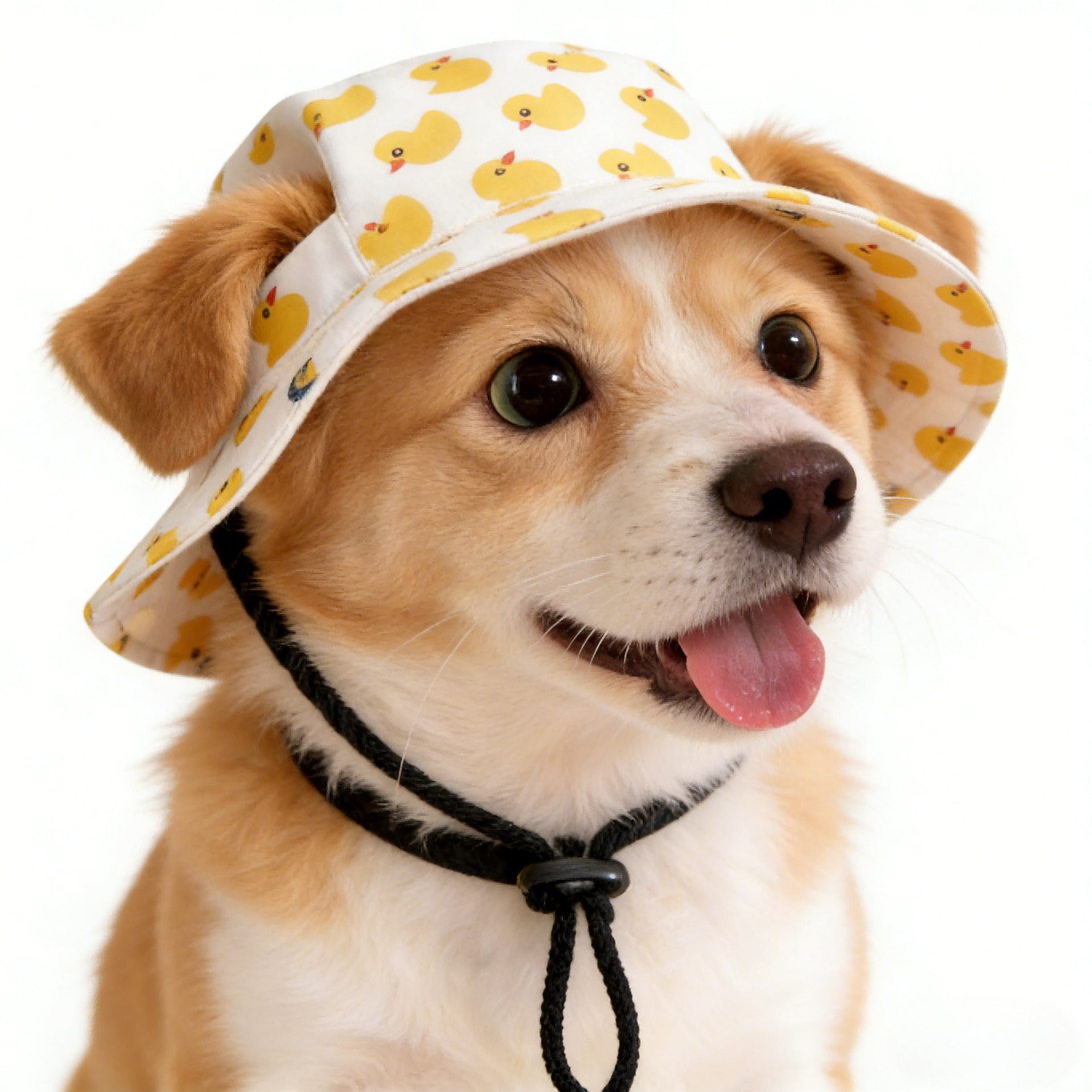 K9 Bucket Hat