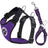 Purple no-pull car harness with tether