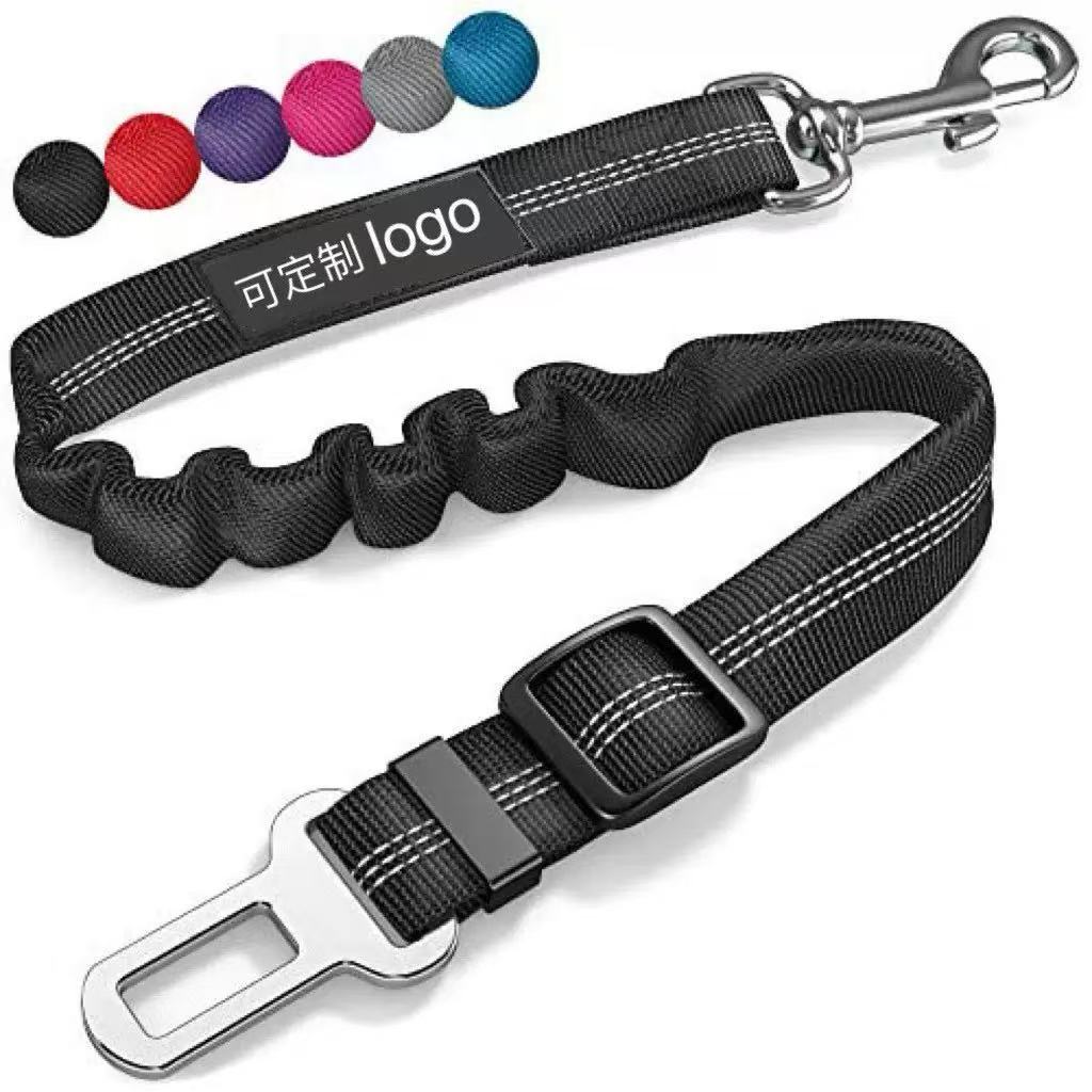 2-in-1 Bungee Leash & Car Seat Belt