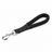 Short Leash